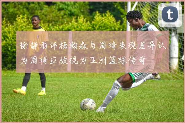徐静雨评杨瀚森与周琦表现差异认为周琦应被视为亚洲篮球传奇